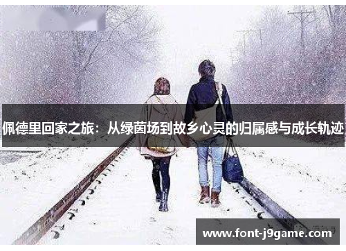 佩德里回家之旅：从绿茵场到故乡心灵的归属感与成长轨迹