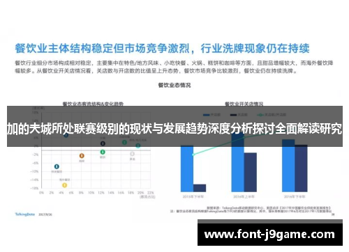 加的夫城所处联赛级别的现状与发展趋势深度分析探讨全面解读研究 加的夫城所处联赛级别的现状与发展趋势深度分析探讨全面解读研究