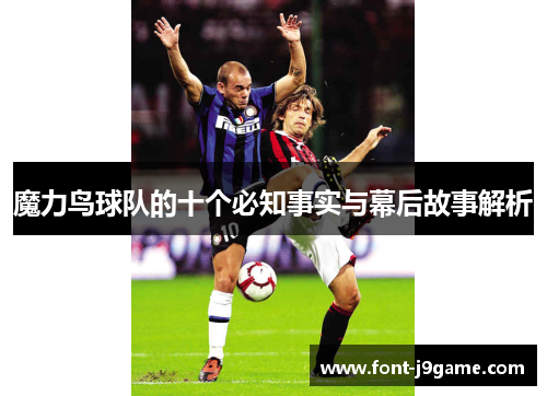 魔力鸟球队的十个必知事实与幕后故事解析 魔力鸟球队的十个必知事实与幕后故事解析