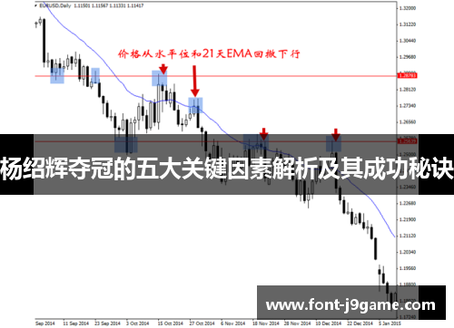 杨绍辉夺冠的五大关键因素解析及其成功秘诀
