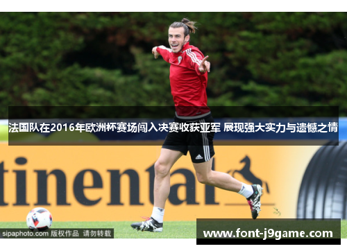 法国队在2016年欧洲杯赛场闯入决赛收获亚军 展现强大实力与遗憾之情